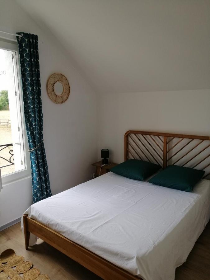 Bel Appt 3 Pieces, A L'Etage, Jardin Privatif, Au Calme, 10 Mn Saumur Et Cnpe Varennes-sur-Loire ภายนอก รูปภาพ